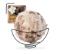 vanille_choco_amande_glace